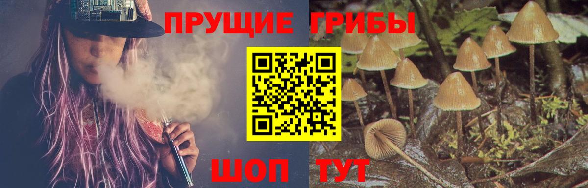 Гагарин  сколько стоит  Вход с VPN  Псилоцибиновые грибы Magic Shrooms 