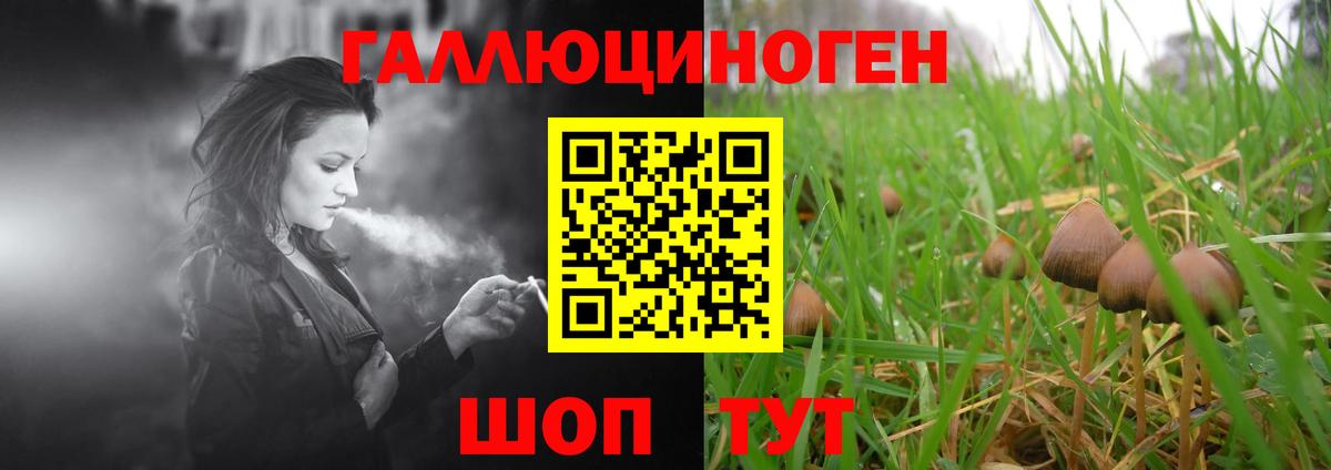 Псилоцибиновые грибы Psilocybine cubensis Гагарин